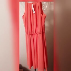 Dress NWT